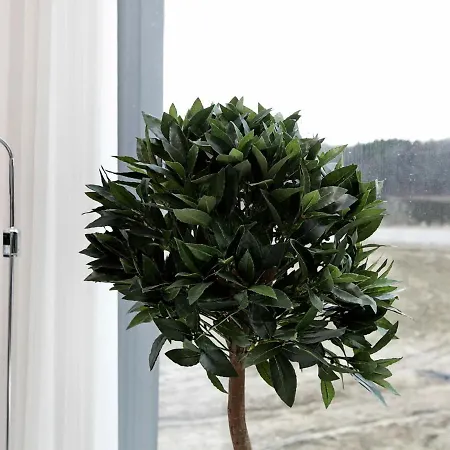Holiday home Four-bedroom In Aabenraa 4 *